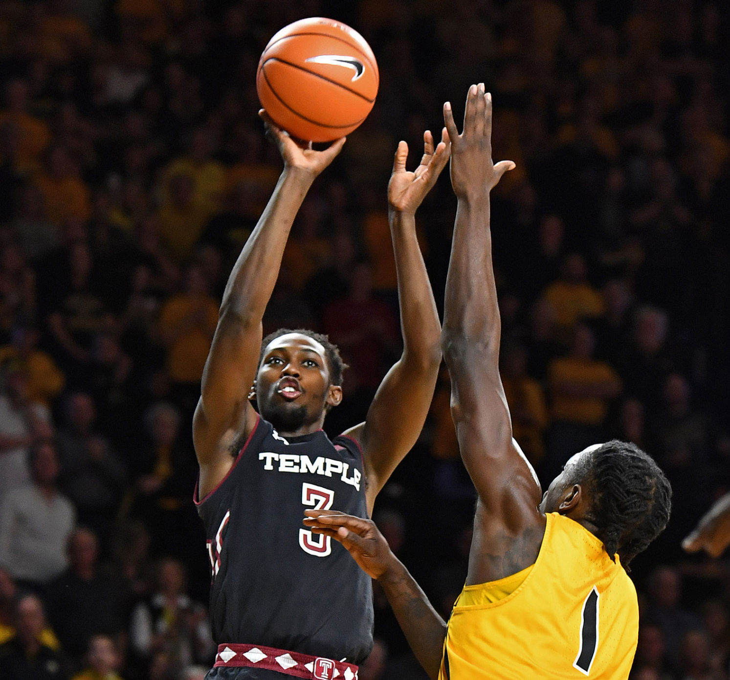 Temple Owls